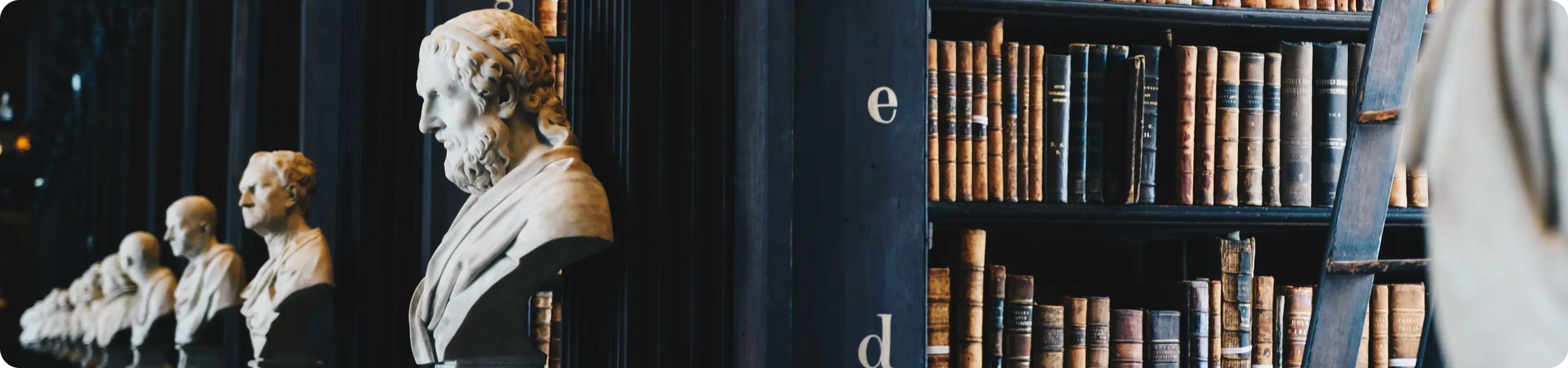Servicios · Recuperación de deuda